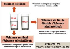 VFD: Volumen final de diástole 120 
VS: Volumen sistólico 70 
VR: Volumen residual 50