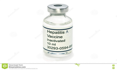 HEPATITIS A 
Nombre Genérico: vacuna antihepatitis A 
Nombre Comercial: Avaxim ; Havrix ; Vaqta
Tipo de vacuna: vacuna inactivada (muerta)
Compuestos de la vacuna: Es una suspensión estéril que contiene el Virus de la Hepatitis A (Cepa del Viru...