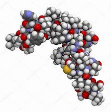 La función fisiológica de la hormona PTH es mantener en el líquido extracelular la concentración de: