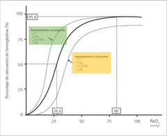 p50: corresponde al valor de PO2 que produce el 50% de saturación.


Desplazamiento de la afinidad a la izquierda: ante disminución de temperatura, disminución de la presión de co2, aumento de pH. Todo esto aumenta la afinidad de la Hb con el ...
