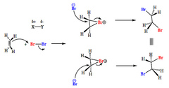 alkene + halogen 

→ haloalkane
- needs RTP