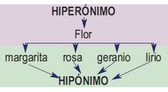 HIPERONIMIA