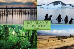 DIVERSIDAD DE ECOSISTEMAS 
Es un complejo dinámico de comunidades vegetales, animales y de microorganismos y su medio abiótico que interactúa como una unidad funcional.
Ejemplos: 
- Acuáticos
- Terrestres 
-Artificiales
- Mixtos