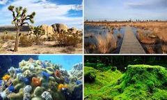 Diversidad de ecosistemas