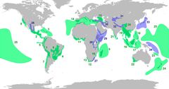 Son las regiones donde se encuentran una cantidad de especies únicas  (especies endémicas)  y cuyo hábitat natural se halla amenazado; es una forma para identificar las regiones prioritarias para la conservación de la biodiversidad nivel mundial.
