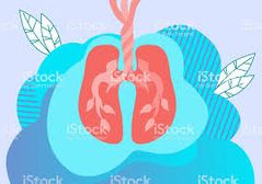 La función de los pulmones es realizar el intercambio gaseoso con la sangre, para ello los alvéolos están en estrecho contacto con los capilares. En los alvéolos se produce el paso de oxígeno desde el aire a la sangre y el paso de dióxido de...