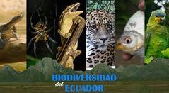 Dentro de la gran diversidad de la fauna, el grupo de los anfibios y reptiles desempeña un importante papel como monitores biológicos e indicadores de la calidad del medio ambiente.
