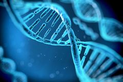 Diversidad de genética: Según la investigación, los mestizos actuales tienen un 65,8% de ADN amerindio, un 30% de ADN caucásico europeo y un 4% de ADN africano.