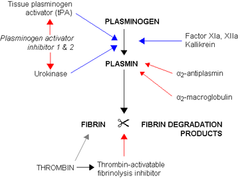 Proceso de la fibrinolisis