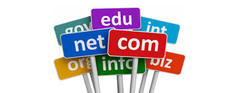 Un e-commerce debe de contar con un dominio, el cual se puede definir como el nombre del sitio web.

Para ser más precisos podemos decir que un dominio es el nombre que identifica un sitio web. Cada dominio tiene que ser único en Internet. Por e...