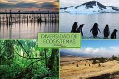 La diversidad de ecosistemas expresa la cantidad y distribución de los sistemas ecológicos que ofrecen las condiciones específicas para que las especies y sus poblaciones se desarrollen, a través de múltiples interrelaciones de las especies c...