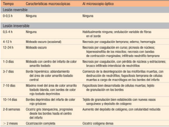 cambios micro y macro