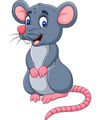 Ratón animal