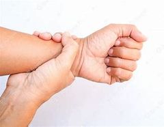 Parte del cuerpo entre la mano y el antebrazo.