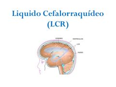 Líquido Cefalorraquídeo (LCR)