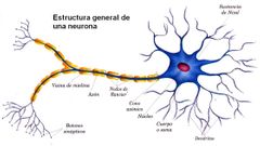 INTERMODULOS