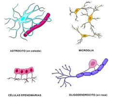 Neuroglía