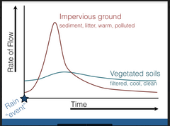 Vegetated soils - slower flow, filtered, cool, clean water
Impervious ground - sediment, little, warm, polluted, fast flow

