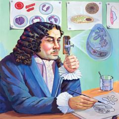 The discovery of the microscope, followed by the discovery of microorganisms, easily changed the theory of disease causation and the "contagion theory", giving more importance to the application of public health methods.
