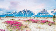 Cercana a las zonas polares, la tundra se caracteriza por tener la mayor parte del año suelos congelados en donde sólo crecen algunas hierbas,
musgos y líquenes. La temperatura durante el
verano no supera los 10 ºC.