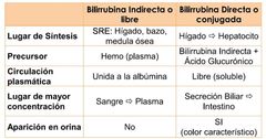 Por la vena esplénica/porta se llega al hígado, pero la bilirrubina del bazo es insoluble porque es indirecta, y la transporta la albumina hacia el hígado.