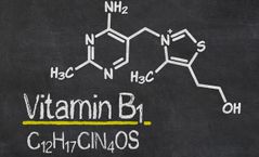 Cuál de las siguientes opciones no es una función de la vitamina B2: