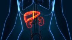 En nuestro organismo la riboflavina en hígado y riñón se haya formando: