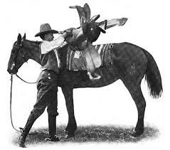 (v) to saddle (a horse)

[4]