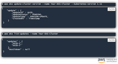 EKS will pick patch versions that are stable and well-tested. This CLI command returns an “update” API object with several important pieces of information. This update object lets you track the status of your requested modification to your clu...