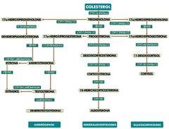 Si una persona tiene testosterona baja y colesterol en niveles adecuados, lo ideal seria pedirle un análisis de las hormonas derivadas del colesterol (17ª-hidroxipregnenolona).