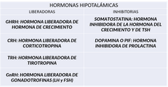 GHRH: Hormona liberadora de hormona de crecimiento.
CRH: Hormona liberadora de corticotropina
TRH: Hormona liberadora de tirotropina
GnRh: Hormona liberadora de gonadotropinas (LH y FSH).