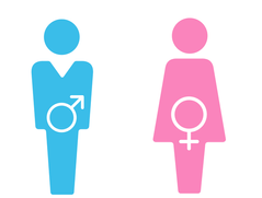 El rol de género  alude al conjunto de normas sociales percibidas como apropiadas para los hombres y las mujeres en un grupo o sistema social.