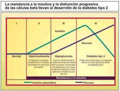 - Es la perdida del reconocimiento a la glucosa por parte de la celula beta. Aquí confluyen el deficit de secreción de insulina y la mayor resistencia a la acción de la hormona.
- DEFICIT DE SECRECIÓN: HIPERGLUCEMIA - MENOR EXPRESION DE GLUT2 ...