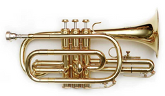 Noun
A musical instrument made from metal, usually brass, that you play by blowing into it.