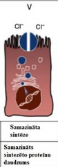 Sajā gadījumā proteīns tiek sintezēts un integrēts plazmatiskajā membrānā, bet 

samazināts transkripta
daudzums vai nepareizs spaisings, kas
neļauj CFTR gēnam fukcionēt pilnīgi, tas nonāk līdz
plazmatiskajai membrānai, bet...