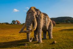 Mamut 
¿Cuál era la distribución geográfica de los mamuts y qué hicieron tan adaptables a su entorno durante el Pleistoceno?