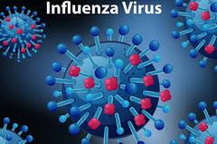 Influenza