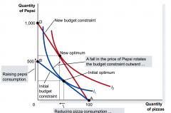 A fall in the price of any good rotates the budget 
constraint outward and changes the slope of the 
budget constraint.