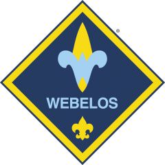 Webelos was also an acronym meaning Wolf, Bear, Lion, Scout. It has since come to mean "WE'll BE LOyal Scouts". The initial rank structure was Wolf, Bear and Lion, with ages of 9, 10 and 11. Dens of six to eight Cubs were entirely led by a Boy Sco...