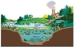 a process that increases the amount of nutrients in a body of water through humans activities, such as waste disposal and land drainage