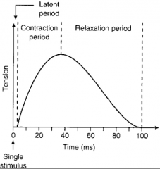 1.) Latent period: the delay (2 milliseconds)
2.) Contraction period: 10-100 milliseconds, Ca binds to troponin, myosin binding sites on actin are exposed, and cross-bridges form 
3.) Relaxation period: 10-100 milliseconds, Ca is actively transp...