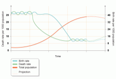 What are the stages of the demographic transition model?