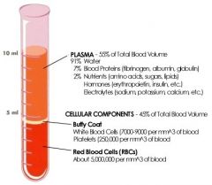 - ca 60% blodplasma
- ca 1 % vita blodkroppar och blodplättar
- ca 40 % röda blodkroppar