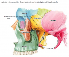 Bones = pterygoid process of sphenoid bone & maxillary bone


 


Connects the infratemporal and pterygopalatine fossae


 


Maxillary artery goes through it