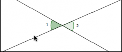 A pair of opposite angles made by two intersecting lines