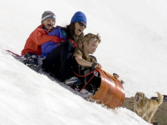 a long, light, narrow sled (= a vehicle that slides over snow), sometimes curved up in front, used for sliding down slopes


 