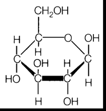 What type of Molecule is shown here:
1.Carbohydrate
2.Lipid
3.Nucleotide
4.Amino Acid