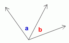 Angles that share a vertex or side