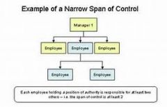exists when a manager directly supervises only a few subordinates

centralized