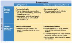 •Light- phototroph


•Oxidationof electron donors - chemotroph